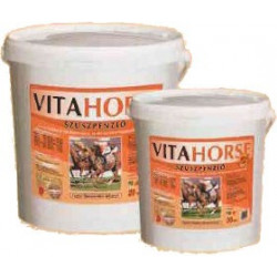 Vitahorse suspenze